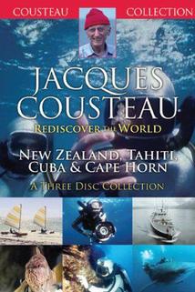 Profilový obrázek - Cousteau's Rediscovery of the World I