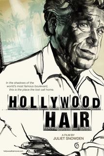 Profilový obrázek - Hollywood Hair