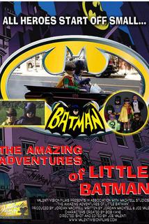 Profilový obrázek - The Amazing Adventures of Little Batman