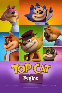 Top Cat Begins  - Don Gato: El Inicio de la Pandilla