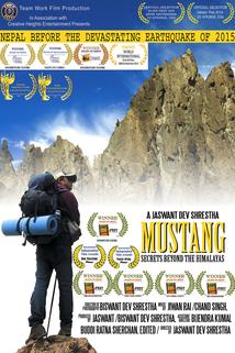 Profilový obrázek - Mustang Secrets Beyond the Himalayas