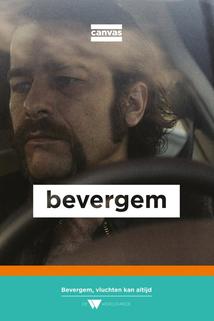 Profilový obrázek - Bevergem ()