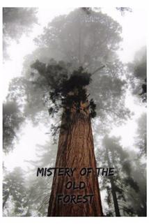 Profilový obrázek - Mysteries of the Old Forest