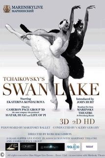 Profilový obrázek - Swan Lake 3D - Live from the Mariinsky Theatre