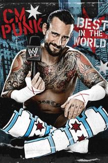 Profilový obrázek - WWE: CM Punk - Best in the World