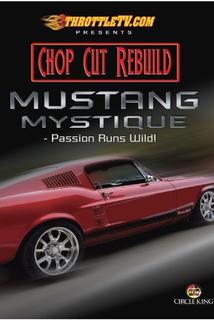 Profilový obrázek - The Mustang Mystique