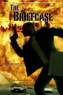 Profilový obrázek - The Briefcase