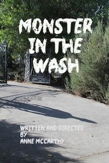 Profilový obrázek - Monster in the Wash