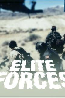 Profilový obrázek - Tank School