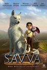 Savva (2015)