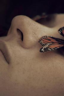 Profilový obrázek - Stella and the Butterfly Man