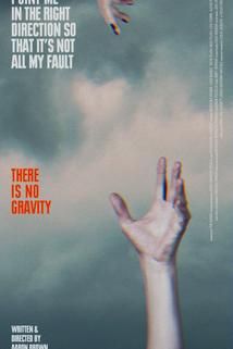 Profilový obrázek - There Is No Gravity