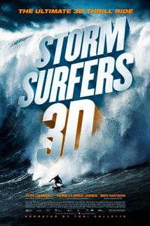 Profilový obrázek - Storm Surfers 3D