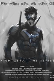 Profilový obrázek - Nightwing: The Series