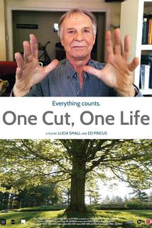 Profilový obrázek - One Cut, One Life