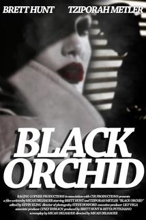 Profilový obrázek - Black Orchid