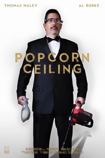 Profilový obrázek - Popcorn Ceiling