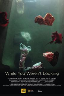 Profilový obrázek - While You Weren't Looking