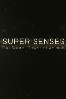 Profilový obrázek - Super Senses: The Secret Power of Animals