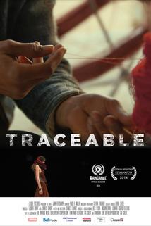 Profilový obrázek - Traceable