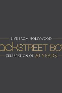 Profilový obrázek - The Backstreet Boys 20th Anniversary Fan Celebration