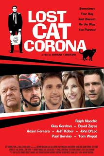 Profilový obrázek - Lost Cat Corona