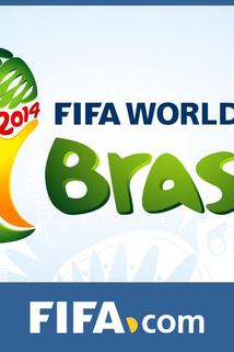 Profilový obrázek - Preliminary Draw for the 2014 FIFA World Cup Brazil