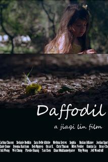 Profilový obrázek - Daffodil
