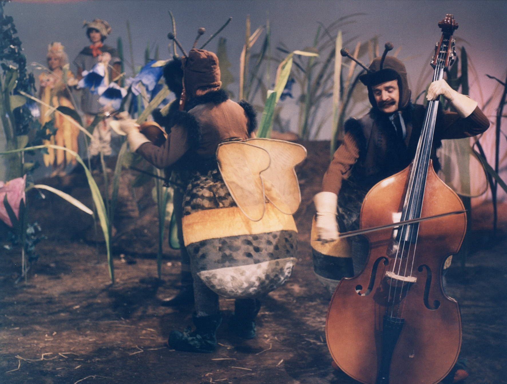 Pohádka z šafránové louky