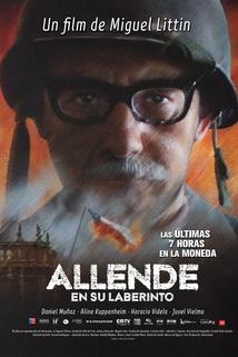 Profilový obrázek - Allende en su laberinto