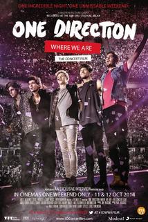 Profilový obrázek - One Direction: Where We Are - The Concert Film