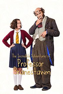 Profilový obrázek - The Incredible Adventures of Professor Branestawm