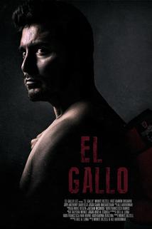 Profilový obrázek - El Gallo