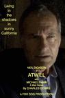 Atwill Web Series (2014)