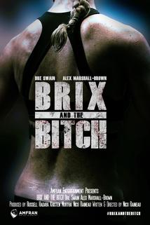 Profilový obrázek - Brix and the Bitch