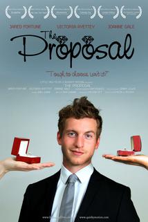 Profilový obrázek - The Proposal