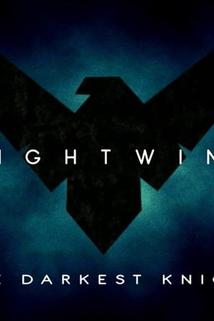 Profilový obrázek - Nightwing: Darkest Knight