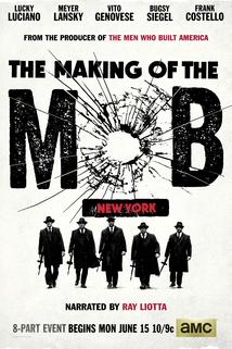 Profilový obrázek - The Making of the Mob