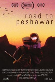 Profilový obrázek - Road to Peshawar