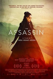 Assassin  - Nie yin niang
