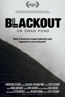 Blackout: On Swan Pond