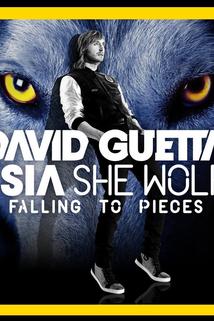 Profilový obrázek - David Guetta: She Wolf