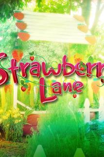 Profilový obrázek - Strawberry Lane