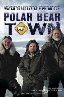 Profilový obrázek - Polar Bear Town