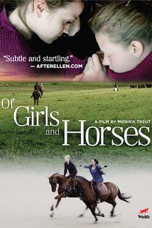 Profilový obrázek - O holkách a koních