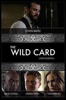 Profilový obrázek - The Wild Card