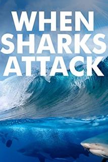 Profilový obrázek - When Sharks Attack