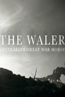 Profilový obrázek - The Waler: Australia's Great War Horse