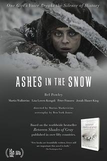 Profilový obrázek - Ashes in the Snow