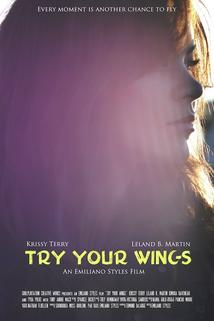 Profilový obrázek - Try Your Wings